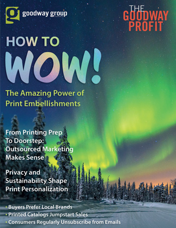 Goodway Profit: How to Wow! Cover